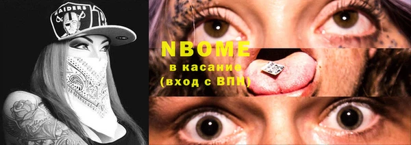 индика Киреевск
