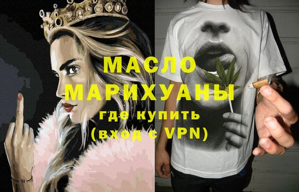 индика Киреевск