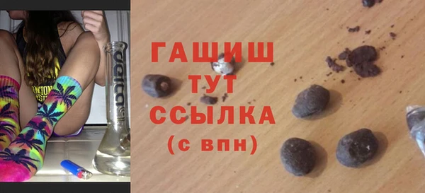 индика Киреевск