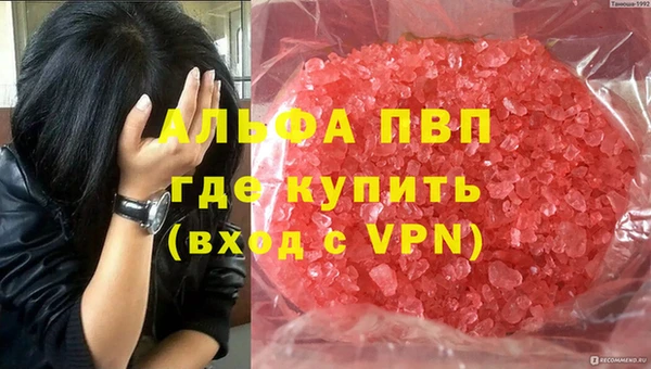 индика Киреевск