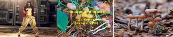 индика Киреевск