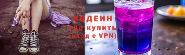 индика Киреевск