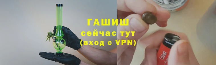 индика Киреевск