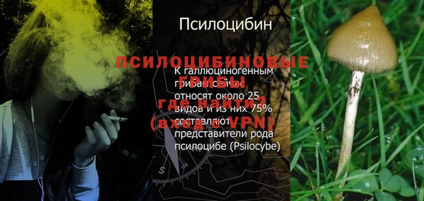 индика Киреевск