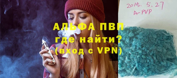 индика Киреевск