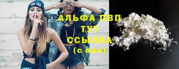 индика Киреевск