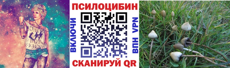Галлюциногенные грибы Magic Shrooms  хочу наркоту  Первоуральск 
